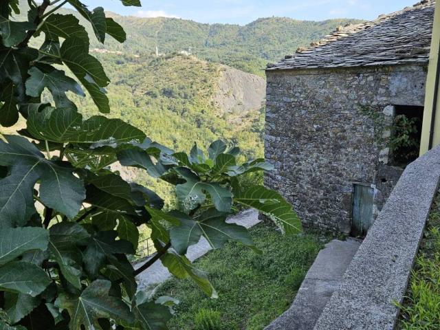 Rustico in vendita a Ne, Botasi