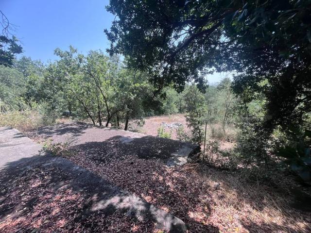 Rustico in vendita a Nicolosi, Sicilia