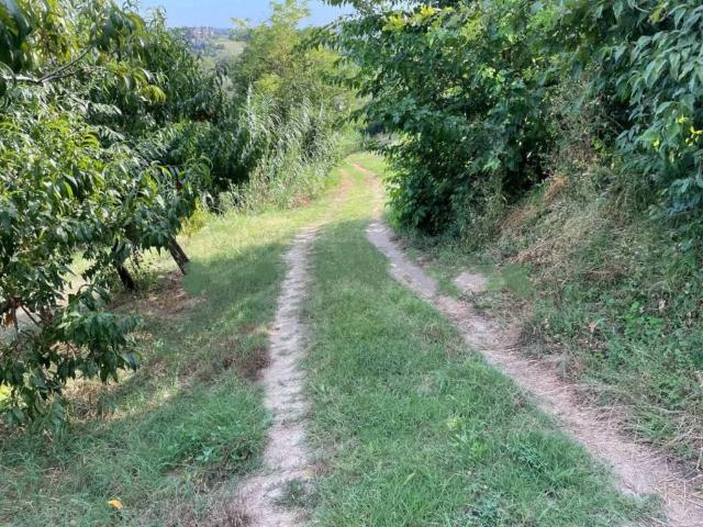 Rustico in vendita a Piemonte, Asti
