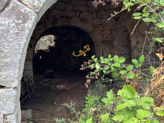 Rustico in vendita a Puglia, Bari