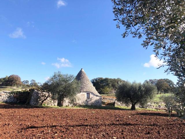 Rustico in vendita a Puglia, Bari