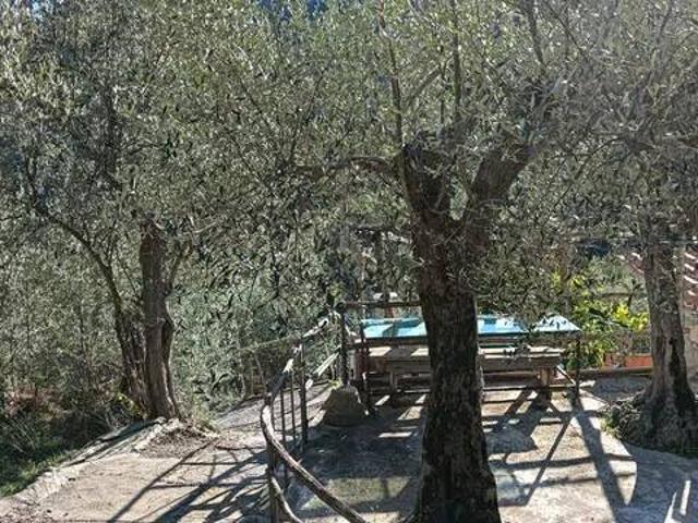Rustico in vendita a Noli, Liguria