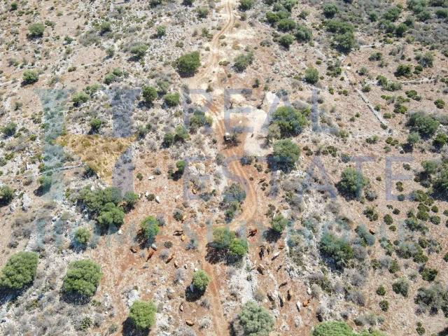 Rustico in vendita a Noto, Sicilia