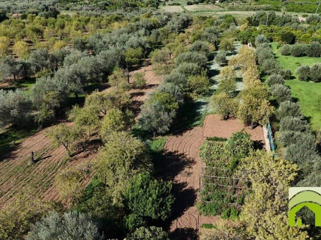 Rustico in vendita a Lido di Noto, Noto