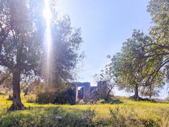 Rustico in vendita a Noto, Siracusa