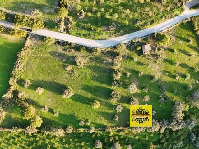 Rustico in vendita a Noto, Sicilia