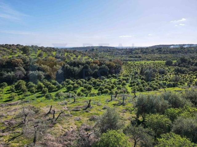 Rustico in vendita a Noto, Sicilia