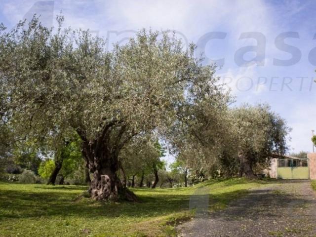 Rustico in vendita a Noto, Sicilia