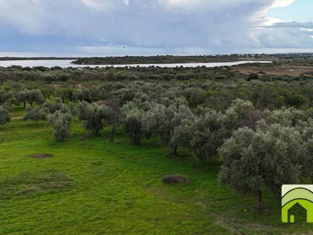 Rustico in vendita a Noto, Sicilia