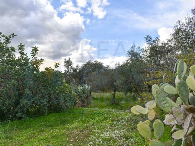 Rustico in vendita a Noto, Sicilia
