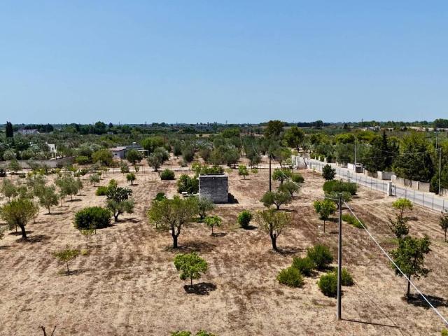 Rustico in vendita a Puglia, Lecce