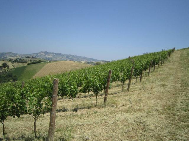 Rustico in vendita a Marche, Ascoli Piceno