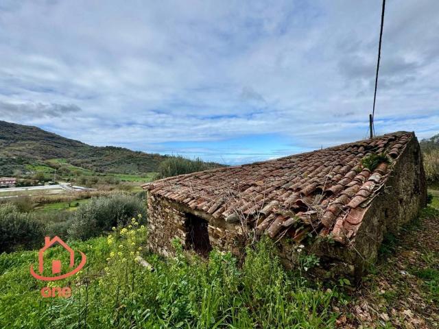 Rustico in vendita a Ogliastro Cilento, Campania