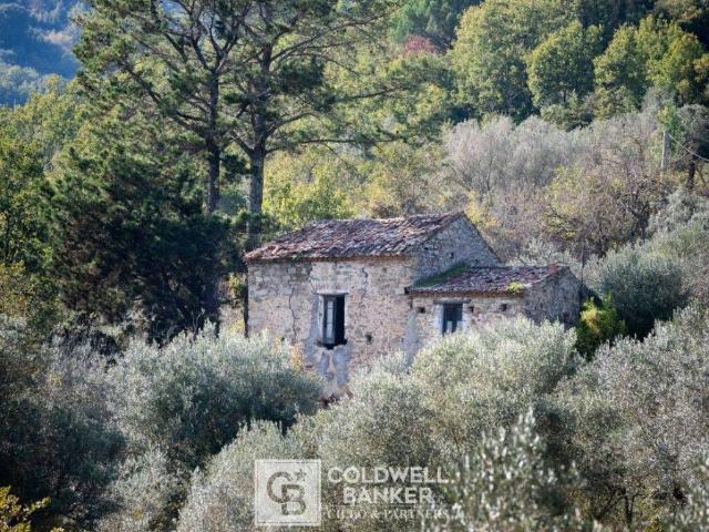 Rustico in vendita a Omignano, Campania