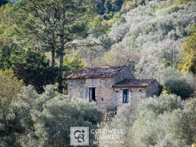 Rustico in vendita a Omignano, Campania