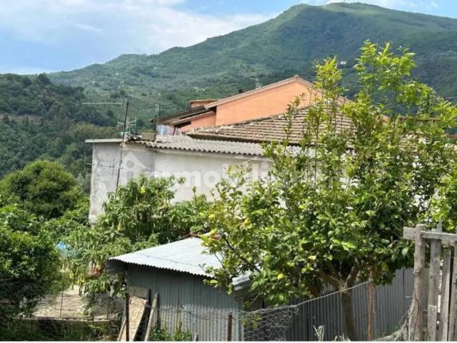 Rustico in vendita a Omignano, Campania