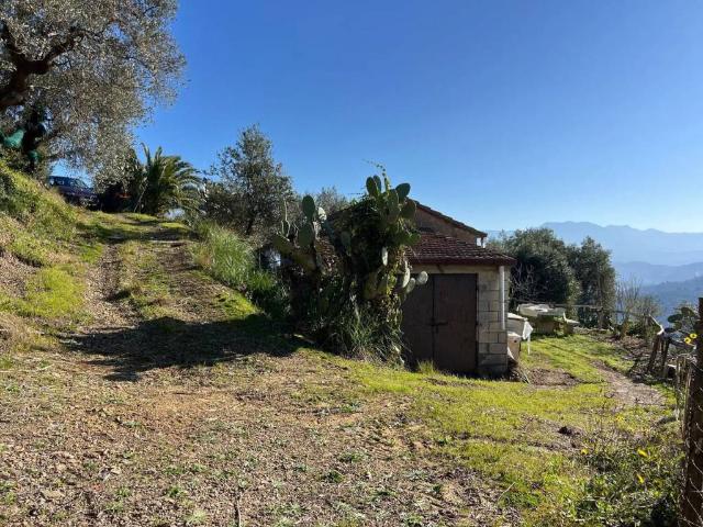 Rustico in vendita a Omignano, Campania