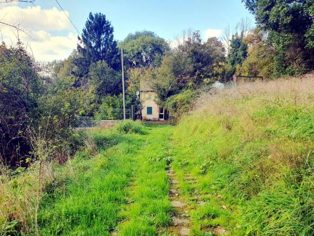 Rustico in vendita a Onano, Lazio