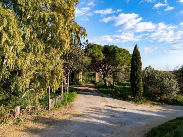 Rustico in vendita a Orbetello, Toscana