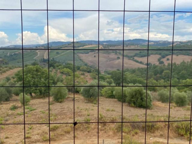 Rustico in vendita a Magliano In Toscana, Toscana