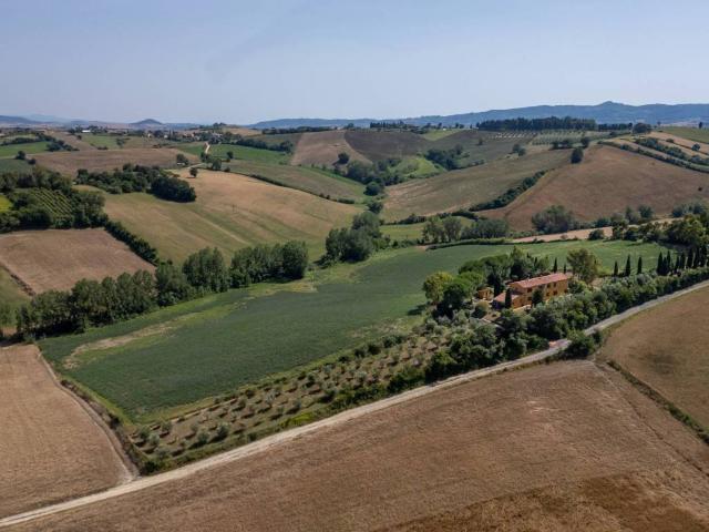 Rustico in vendita a L'Orto, Orciano Pisano