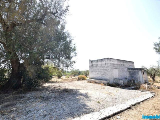 Rustico in vendita a Puglia, Brindisi