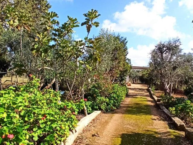 Rustico in vendita a Puglia, Brindisi