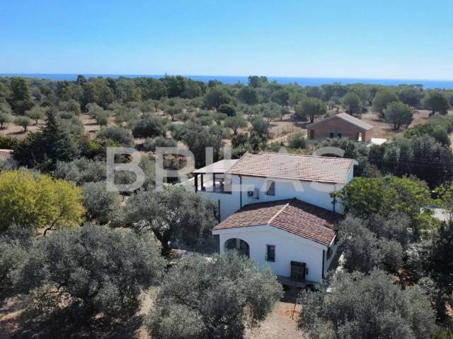 Rustico in vendita a Orosei, Sardigna/Sardegna