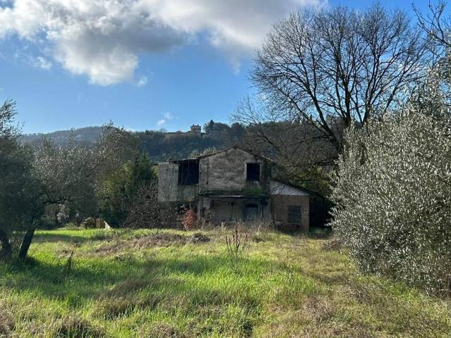 Rustico in vendita a Petignano, Orte