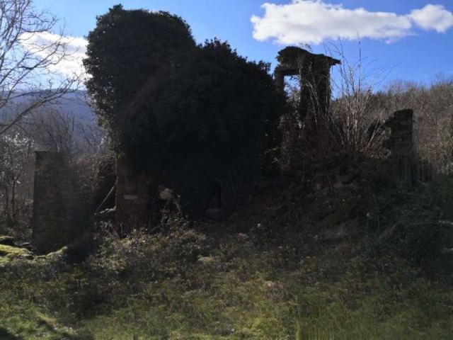 Rustico in vendita a Ortignano, Toscana