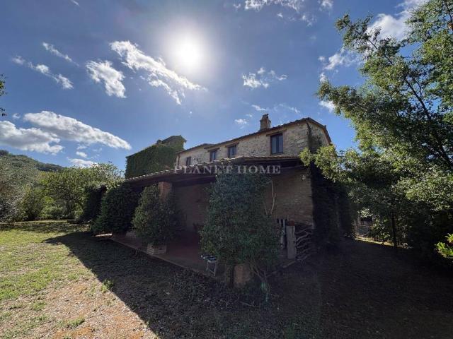 Rustico in vendita a Corbara, Orvieto