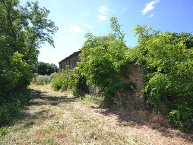 Rustico in vendita a Orvieto, Umbria