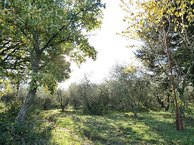 Rustico in vendita a Villanova, Orvieto