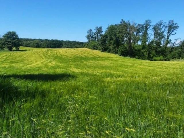 Rustico in vendita a Lubriano, Lazio