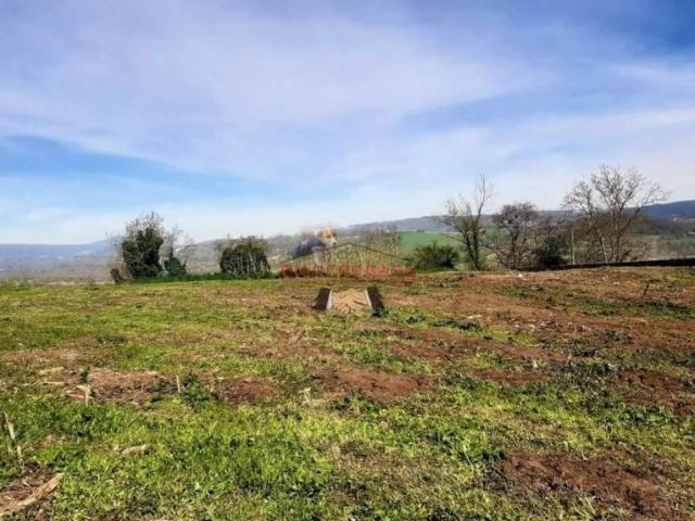 Rustico in vendita a Orvieto, Umbria