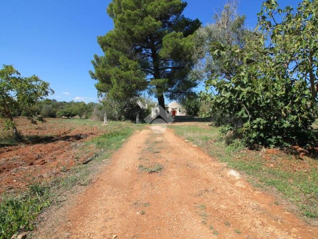 Rustico in vendita a Ostuni, Brindisi