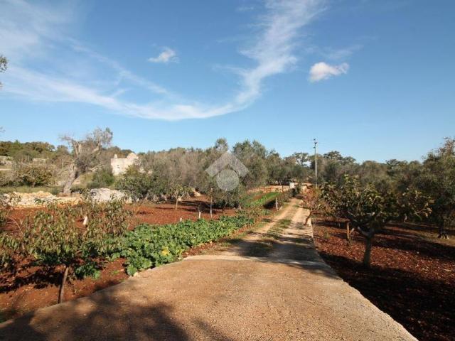 Rustico in vendita a Ostuni, Brindisi