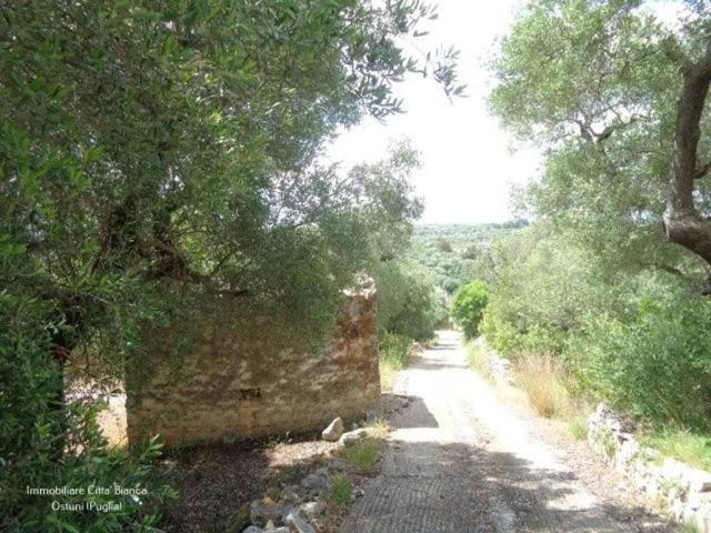 Rustico in vendita a Contrada Badessa, Puglia