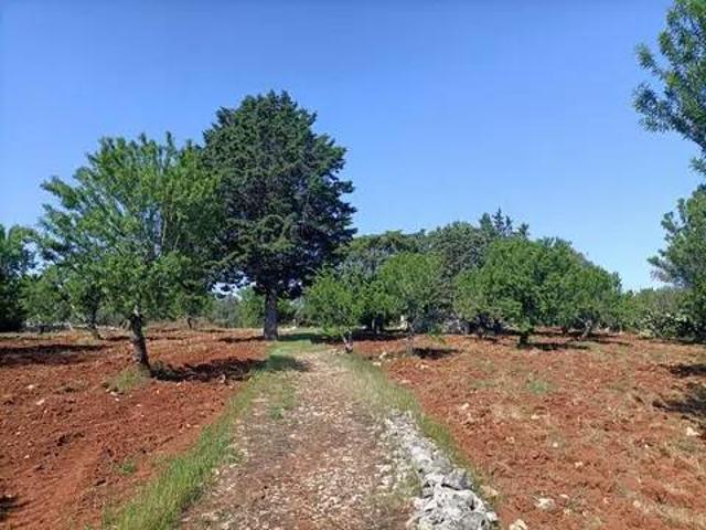 Rustico in vendita a Puglia, Brindisi