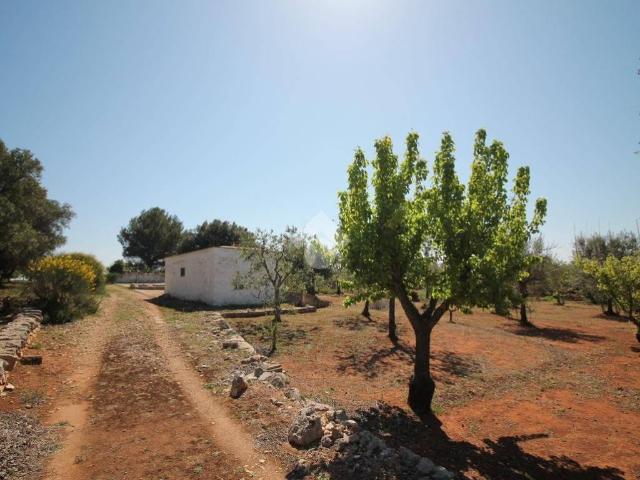 Rustico in vendita a Puglia, Brindisi