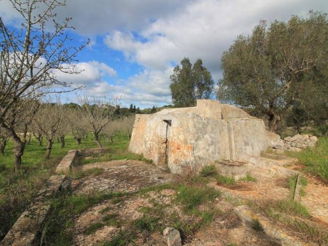 Rustico in vendita a Puglia, Brindisi