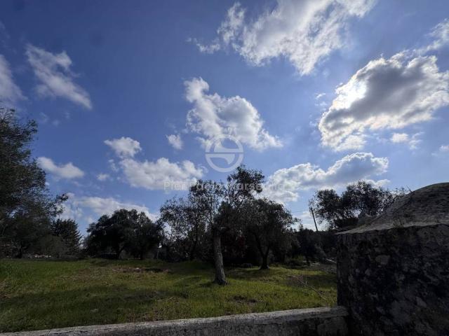 Rustico in vendita a Puglia, Brindisi