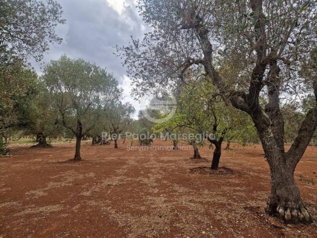 Rustico in vendita a Puglia, Brindisi