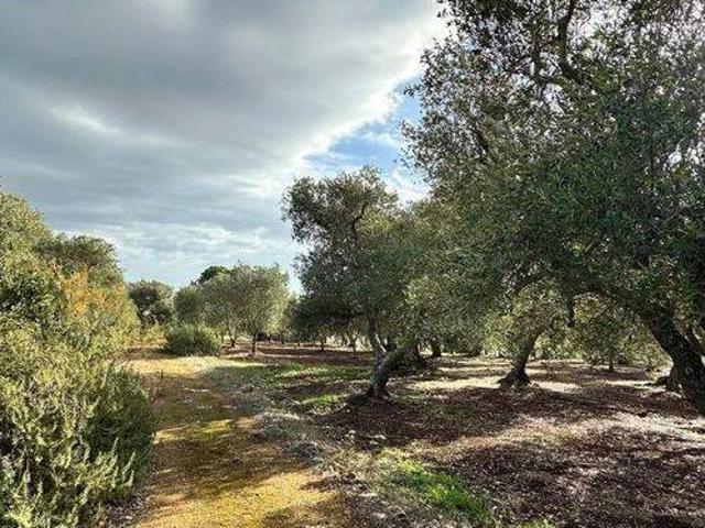 Rustico in vendita a Puglia, Brindisi