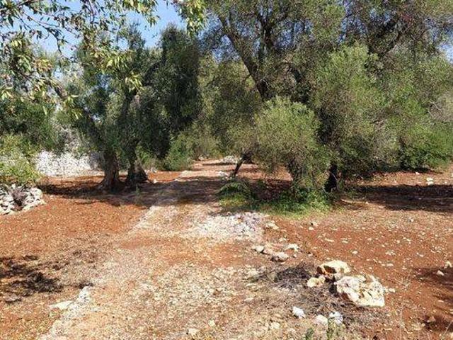 Rustico in vendita a Puglia, Brindisi