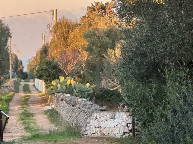 Rustico in vendita a Puglia, Brindisi