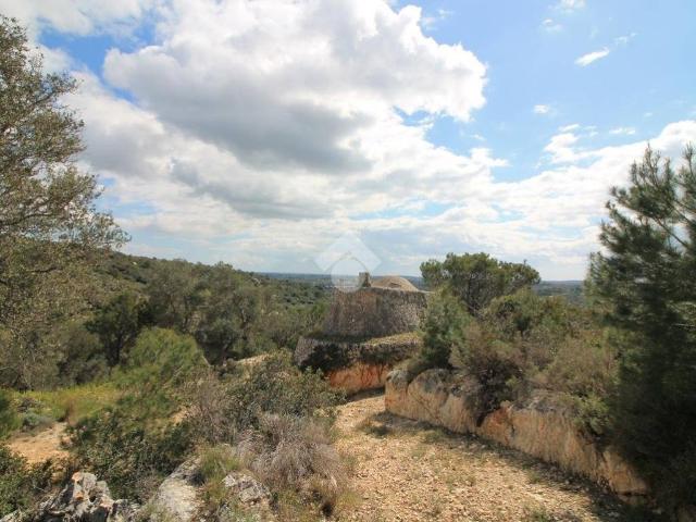 Rustico in vendita a Puglia, Brindisi