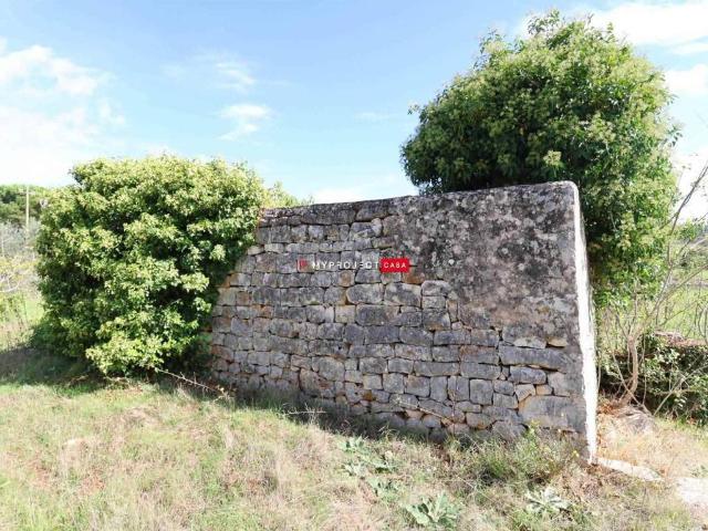 Rustico in vendita a Borgo Rurale Pascarosa, Puglia