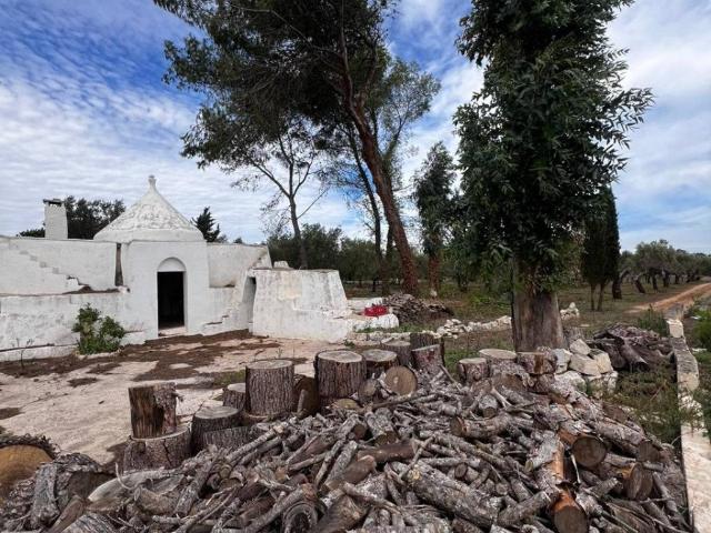 Rustico in vendita a Ostuni, Brindisi