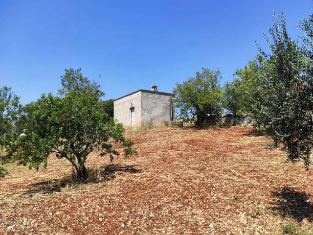 Rustico in vendita a Ostuni, Brindisi